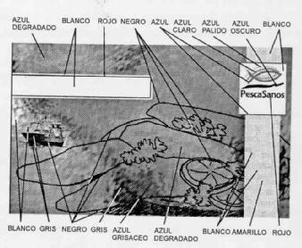 Imagen de PESCA SANOS