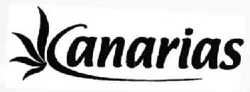 Imagen de CANARIAS