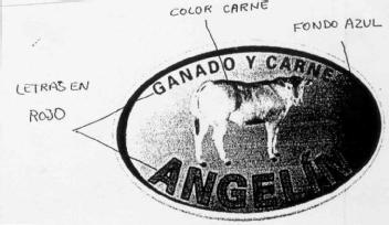 Imagen de GANADO Y CARNE ANGELIN