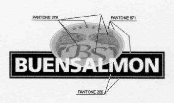 Imagen de BUENSALMON