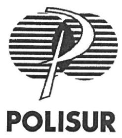 Imagen de P POLISUR