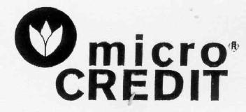 Imagen de MICRO CREDIT