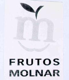 Imagen de M FRUTOS MOLNAR