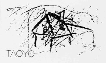 Imagen de TAOYO