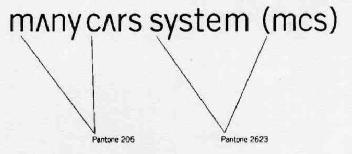 Imagen de MANY CARS SYSTEM (MCS)