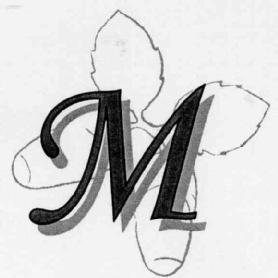 Imagen de M