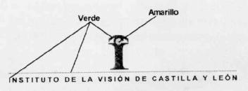 Imagen de INSTITUTO DE LA VISION DE CASTILLA Y LEON