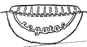 Imagen de REGATAS