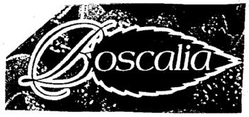 Imagen de BOSCALIA