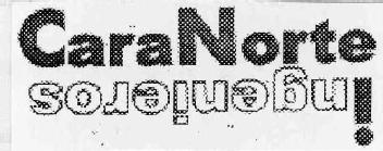Imagen de CARANORTE INGENIEROS