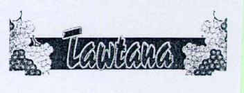 Imagen de TAWTANA