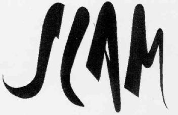 Imagen de SLAM
