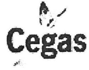 Imagen de CEGAS