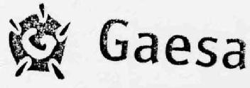 Imagen de G GAESA