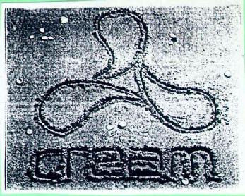 Imagen de CREAM