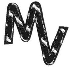 Imagen de MV
