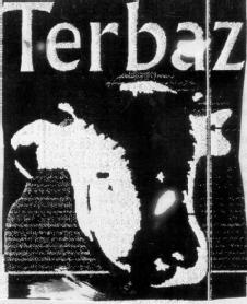 Imagen de TERBAZ