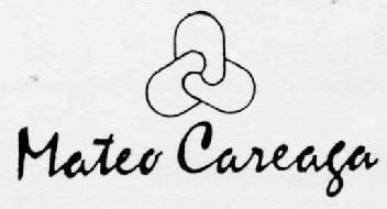 Imagen de MATEO CAREAGA