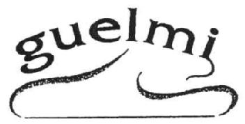 Imagen de GUELMI