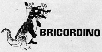 Imagen de BRICORDINO