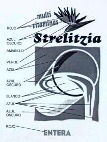 Imagen de STRELITZIA MULTI VITAMINAS ENTERA