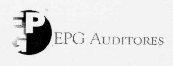 Imagen de EPG EPG AUDITORES
