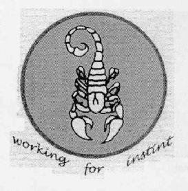 Imagen de WORKING FOR INSTINT