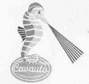 Imagen de CAVAUTO