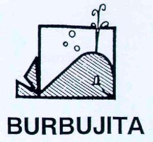 Imagen de BURBUJITA