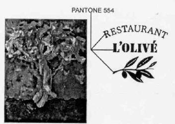Imagen de RESTAURANT L\'OLIVE