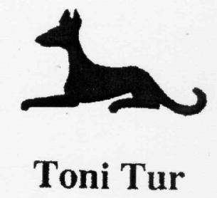 Imagen de TONI TUR