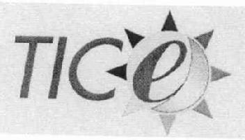 Imagen de TICE