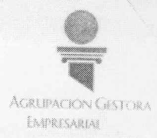 Imagen de AGRUPACION GESTORA EMPRESARIAL