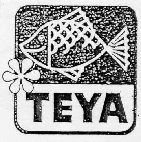 Imagen de TEYA