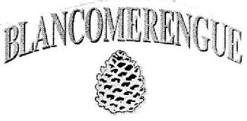 Imagen de BLANCOMERENGUE