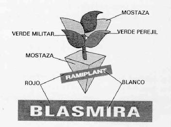 Imagen de BLASMIRA