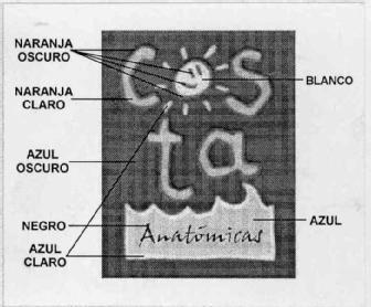 Imagen de COSTA ANATOMICAS