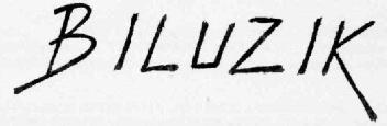 Imagen de BILUZIK