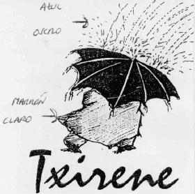 Imagen de TXIRENE