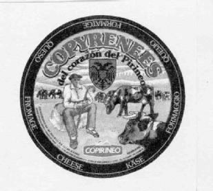 Imagen de COPYRENEES DEL CORAZON DEL PIRINEO COPIRINEO