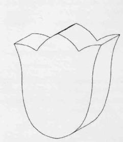 Imagen de M2350526