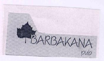 Imagen de BARBAKANA PUB