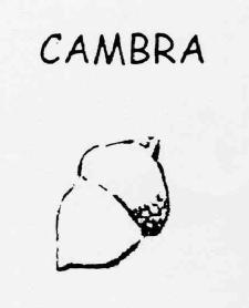 Imagen de CAMBRA