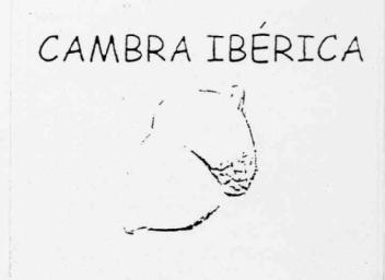 Imagen de CAMBRA IBERICA