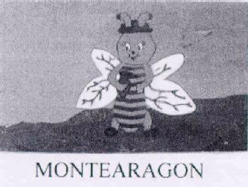 Imagen de MONTEARAGON