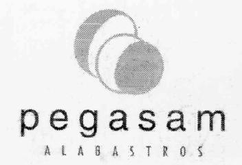 Imagen de PEGASAM ALABASTROS