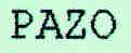 Imagen de PAZO