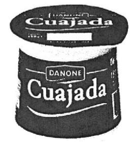 Imagen de DANONE CUAJADA