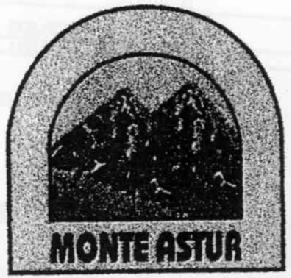 Imagen de MONTE ASTUR