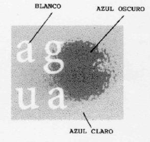 Imagen de AG UA